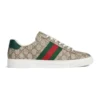 Gucci Ace Sneaker New - Brown