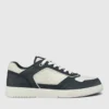 Navy Blue/White