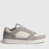 Gray /Cream